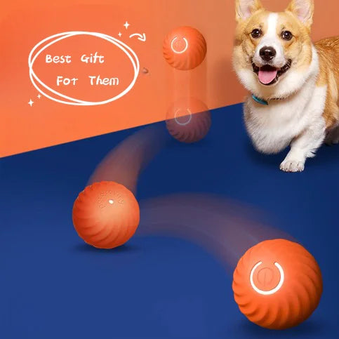 Tough Rubber Play Ball for Dogs