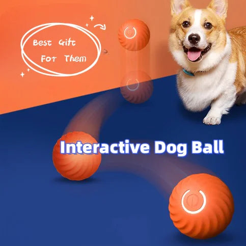 Tough Rubber Play Ball for Dogs